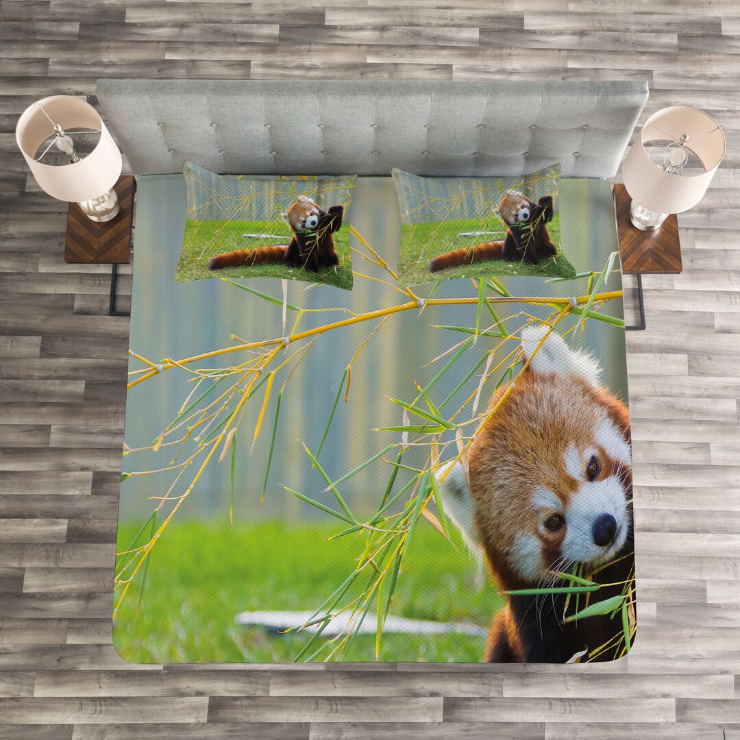 Gestepptes Bettdecken-Set, Panda, Tierwelt, Rotbraun