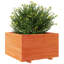 Wood Planter Box-104931187-108200349