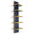 Blue/Gold