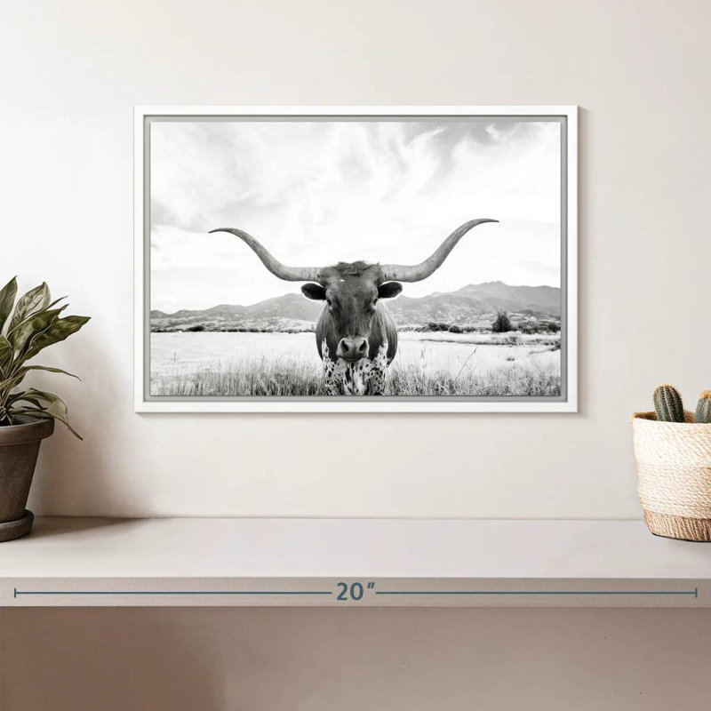 Longhorn Texas BW, Cadre flottant blanc, 13 po x 9 po