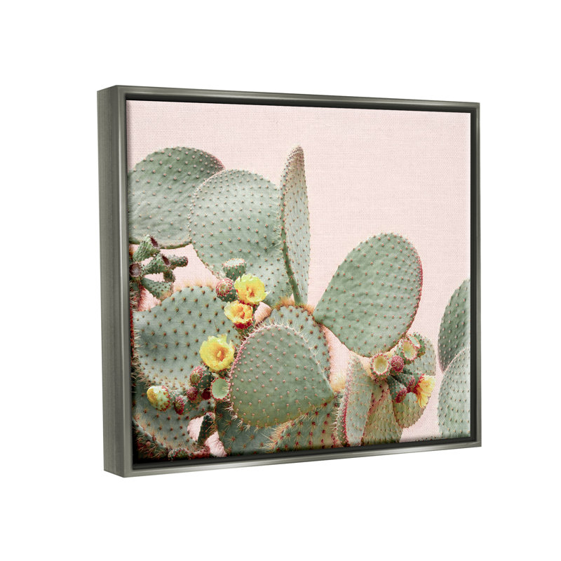 «Union Rustic Cactus Flowers on Pink Floater», art mural sur toile par Sissi et Seb, H 17 po x l 21 po x P 1,7 po