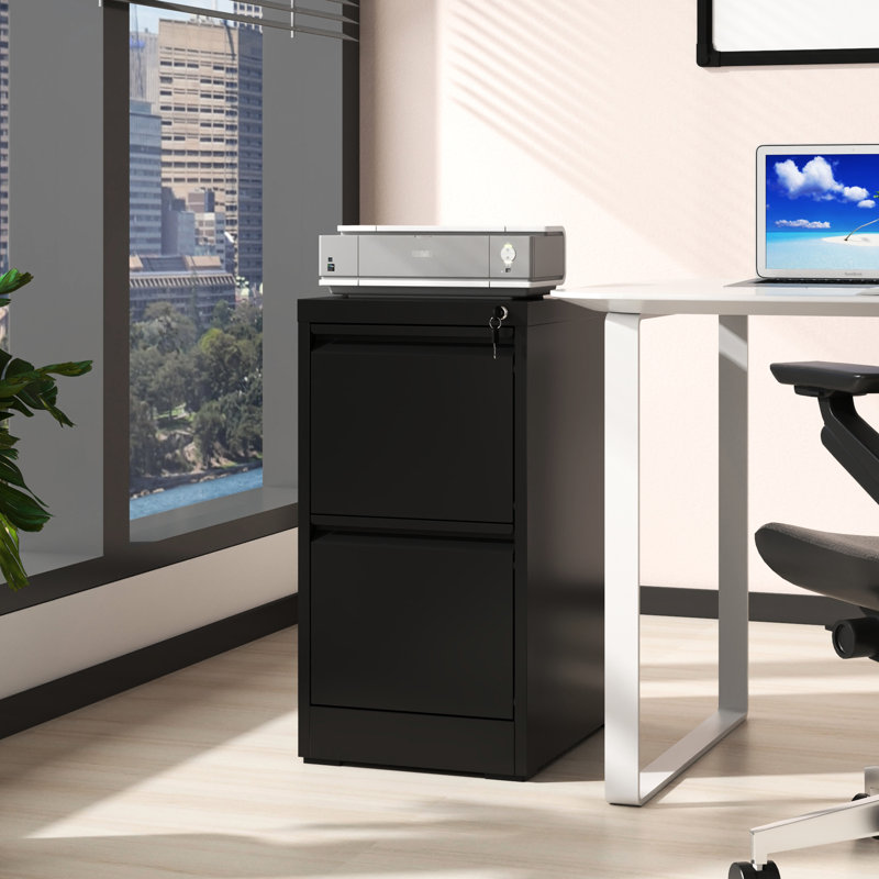 Classeur vertical en métal avec serrure - 2 tiroirs pour une utilisation à long terme au bureau / à la maison, Black