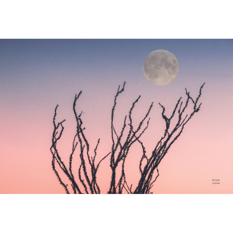 Reaching Up Moon by Nathan Larson - Wrapped Canvas Print, 30cm H x 46cm W x 3.8cm D