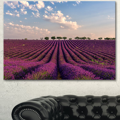 Champ de lavande brillant en Provence - reproduction de photo sur toile tendue