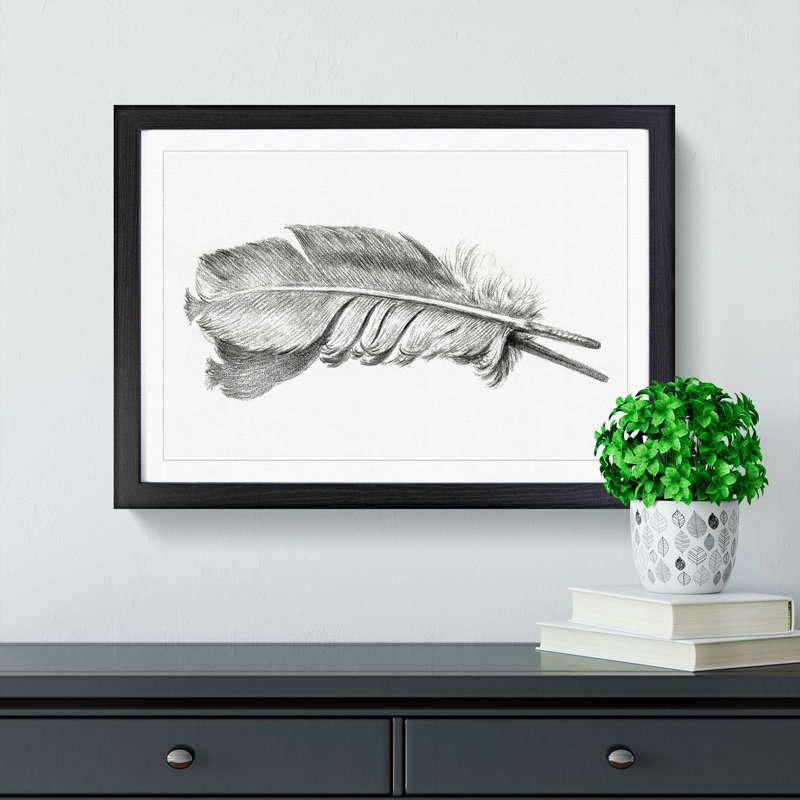 Feather by Jean Bernard - Picture Frame Drawing Print, 36cm H x 48cm W x 2cm D, Black Framed