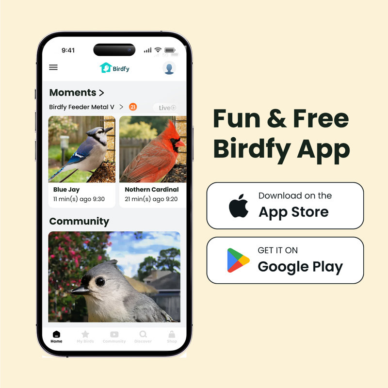 Birdfy Smart
