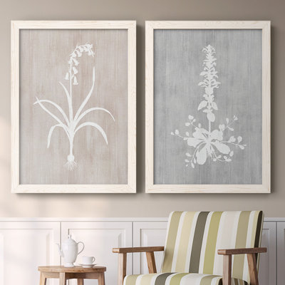 Botany Beauty I - 2 Piece Single Picture Frame Print Set on Canvas