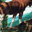 «Twig Eater», reproduction encadrée-22464727