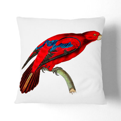 Blue-Tipped Lory Square Throw Cushion