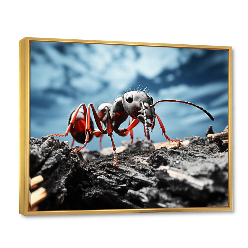 Ant Industrious I, reproduction d'art sur toile, H 24 po x l 32 po x P 1 po, Cadre flottant doré