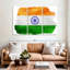 Drapeau de Borges, Inde-108095238