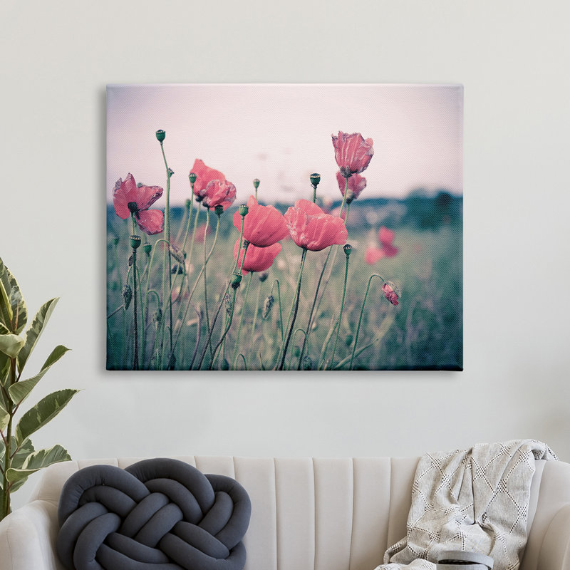 Champ de coquelicots d'automne - photographie, H 24 po x l 30 po, Toile tendue