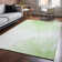 Premium Machine Washable Cerrito Aloe Rug