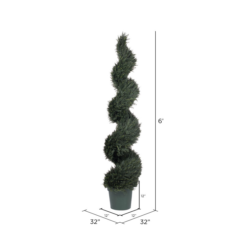 Topiaire cypress de plancher uv pond