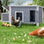 Poulailler 9,78 pieds carrés avec perchoir Alena pour 3 poulets-713647268