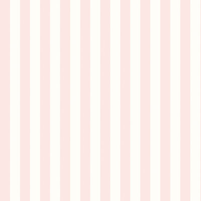 1000cm x 50cm Matte Wallpaper Roll