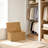 Ludmilla Wicker Trunk-1728654892