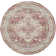 Benedikt Oriental Indoor Rug