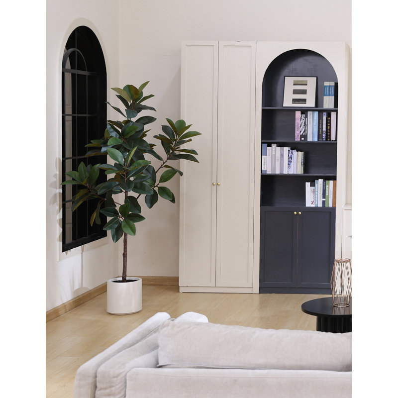 Arbre de magnolia 70 po