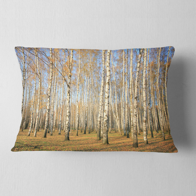 Coussin d'automne Autumn Birch Grove in Sunlight, Rectangle, 12 po x 20 po