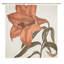 Rideau de douche simple Lily