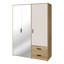 Taymur Manufactured Wood Wardrobe