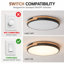 Acrylic Flush Mount