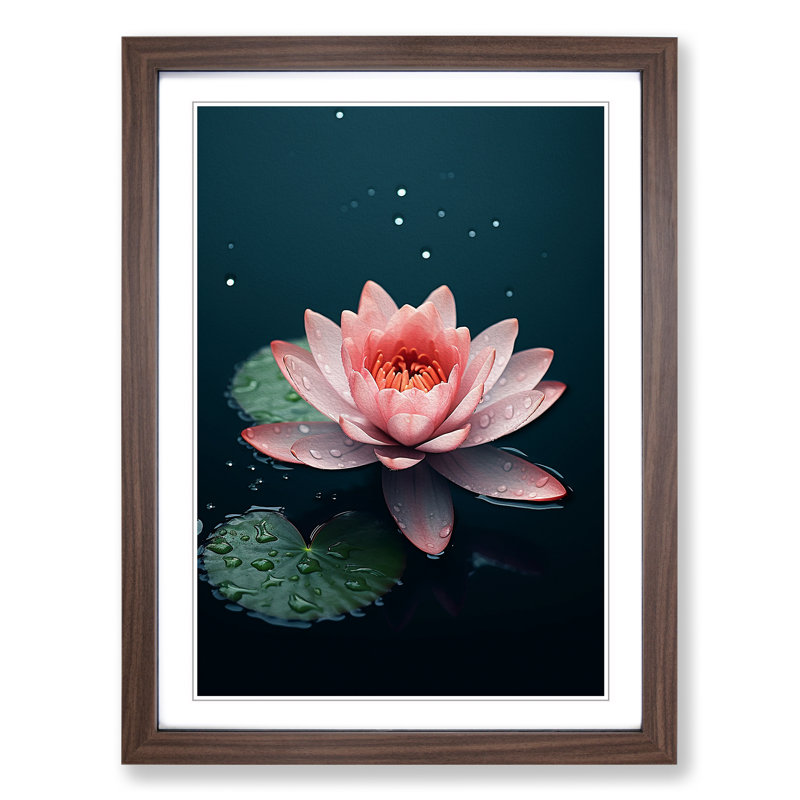 Water Lily Minimalism - Framed Print, 46cm H x 34cm W x 2cm D, Walnut 
