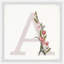 Dews Single Picture Frame Print-1795622133