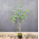 Arbre artificiel artificiel