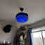 Customer photo 4 of 4