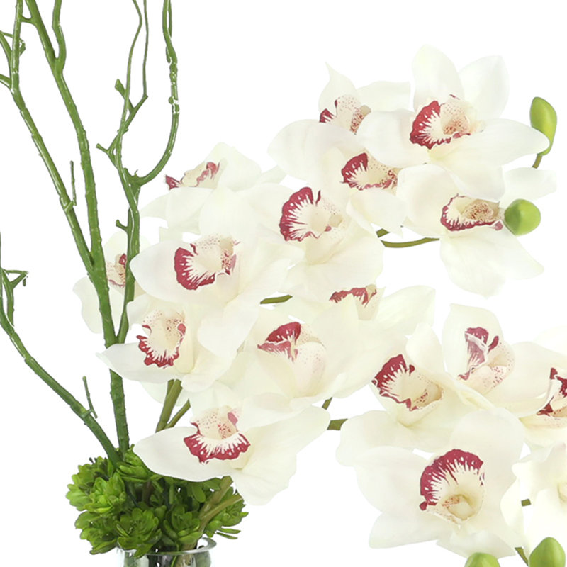 Arrangement d'orchidées avec vignes
