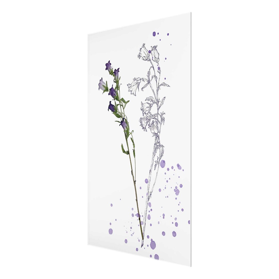 Glasbild Botanische Glockenblume