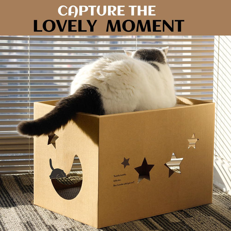 Scratching Post