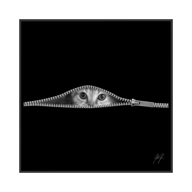 «The Timid» par Kathrin Federer - reproduction de photo, Aucun mat, H 26 po x l 26 po x P 1,5 po, Toile avec cadre noir