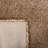 Assar Area Rug-1762274671-1862854157