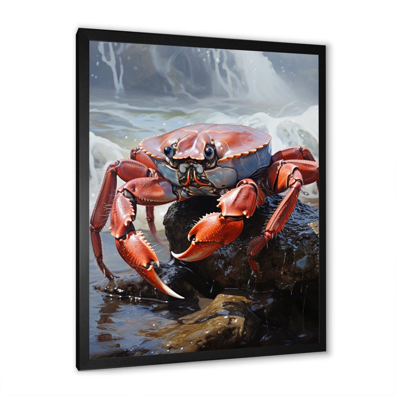 «Wystand Crab Coastal Sentry», reproduction sur toile, Cadre photo noir, H 20 po x l 12 po