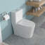 Toilette monobloc en céramique, 12 po, double chasse avec siège à fermeture douce