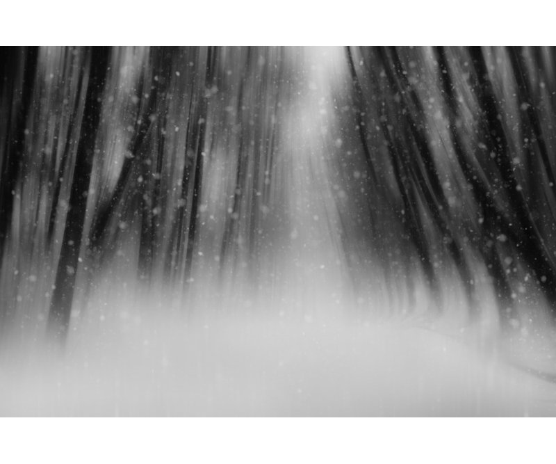 Wrapped Canvas Print, 60.96cm H x 91.44cm W