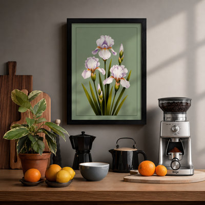 Ruffled Iris Study Botanical - Print