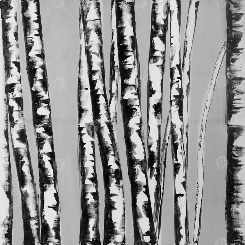 Shower Curtain LA51 – Polyester Shower Curtain, Dye Sublimation Print, 71" W × 74" L, Multicolor Light Gray