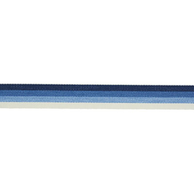 Ombre Tape Indoor/Outdoor