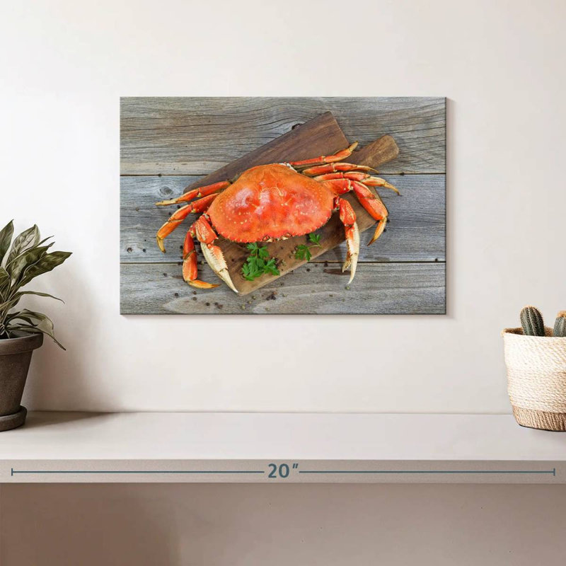 Crabe dormeur cuit Yarlin, H 8 po x l 12 po