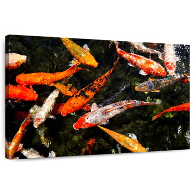 Étang à poissons Brampt Lucky Koi