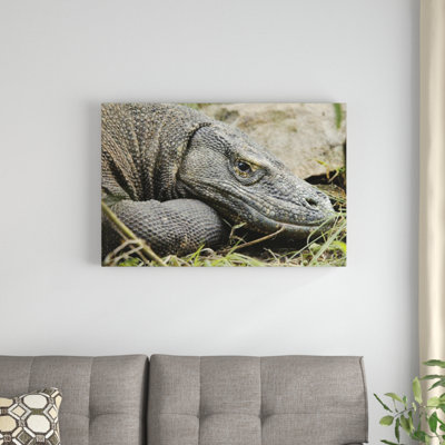 " Komodo Dragon "