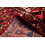 Tapis rouge Kayseri 4 pi 11 po x 8 pi 6 po