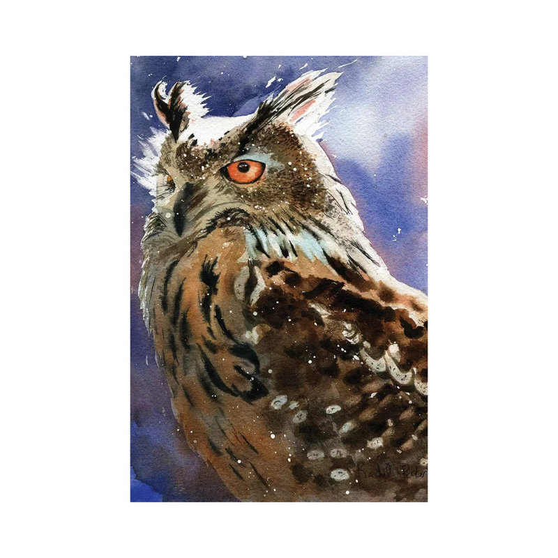 Owl Eyes 1 Piece Wall Art on Canvas, 30.48 cm H x 45.72 cm W, Canvas