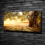 Olive Tree - Print-647198006-647215499