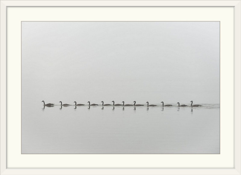 «Straub Follow Me» par Nick Kalathas - reproduction de photo, H 24 po x l 32 po x P 1 po, Cadre blanc
