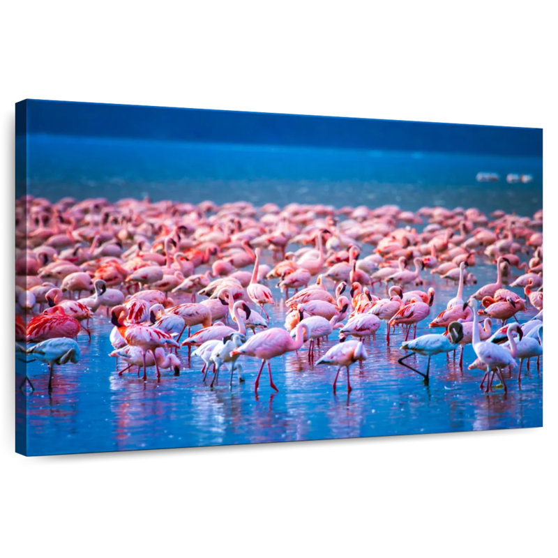 Crowle Flamingos In Water